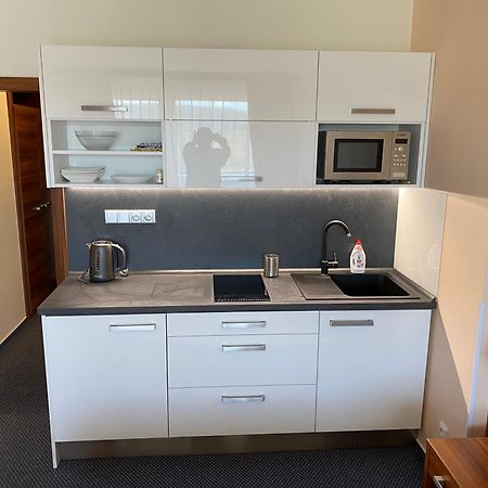 Apartmány wellness Frymburk Esterno foto