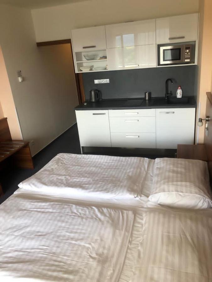 Apartmány wellness Frymburk Esterno foto